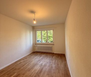 Umfassend sanierte 2.5-Zimmerwohnung mit modernem Ausbaustandard - Foto 1