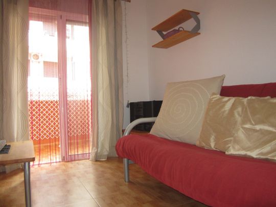 1 Res San Miguel – Id. 509 - Foto 1