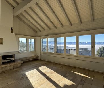 TEMPORARY, GENEROUS AND SUN-KISSED - Photo 5