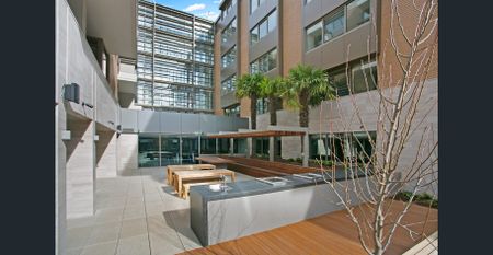 Bounce into Bond! - Photo 4