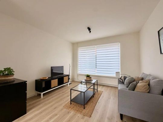 Maison familiale meublée Olivierstraat, Axel - À louer - Photo 1