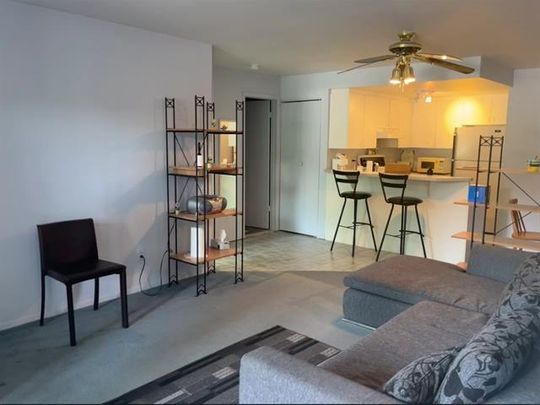 375 Av. du Mont Royal O. - Photo 1