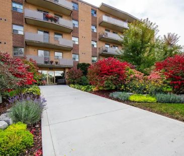 50 & 60 Second Avenue | 50 & 60 Second Avenue, Orangeville - Photo 1