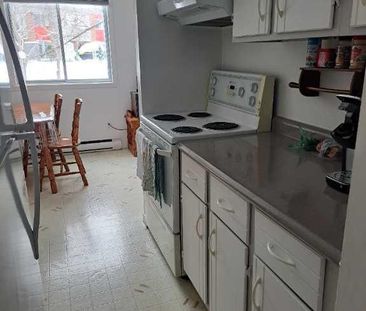 4 1/2 lévis centre-ville UQAR, CFP lévis - Photo 1
