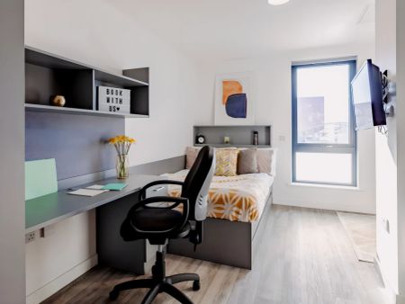 Premium Studio - Photo 3