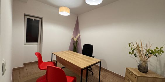 Location Appartement 1 pièce 11m² - Photo 3