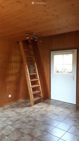 1 Zimmer-Wohnung - Photo 4
