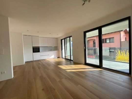 Vacallo, affitto 3.5 locali con terrazzo - Foto 1