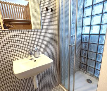 Pěkný plně vybavený byt 1+kk Za Pohořelcem Praha 6 - Photo 3