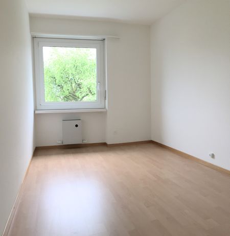 Rent a 3 ½ rooms apartment in Kriens - Photo 2