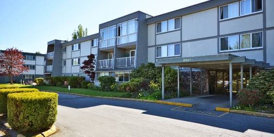 Steveston updated apartment with a pool! Heat is included! - Photo 3