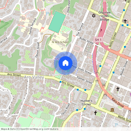 3/147 Abel Smith Street, Aro Valley, Wellington