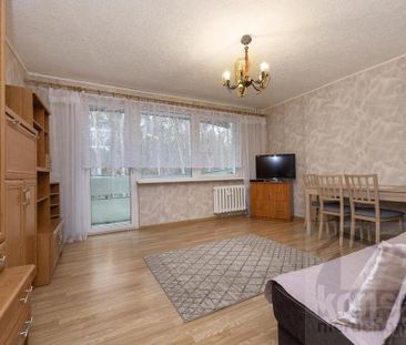 2 rozkładowe pokoje z balkonem Police - Photo 3