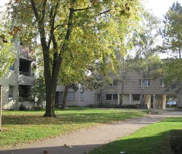 3-Zimmer-Wohnung in BN-Tannenbusch - Foto 2