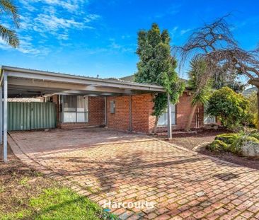 Family Single Level Living! - Photo 3
