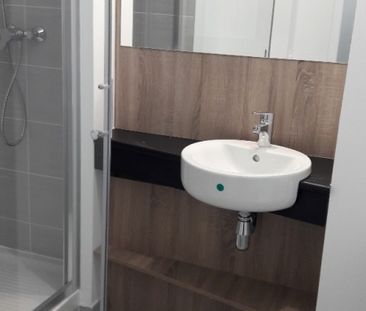 Location Appartement 1 pièce 20m² LYON 7ème - Photo 3