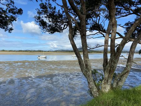 Waterfront Beauty! Ngunguru - Photo 3