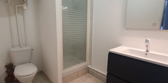 Location Appartement 1 pièce 25m² CONDRIEU 69420 - Photo 3