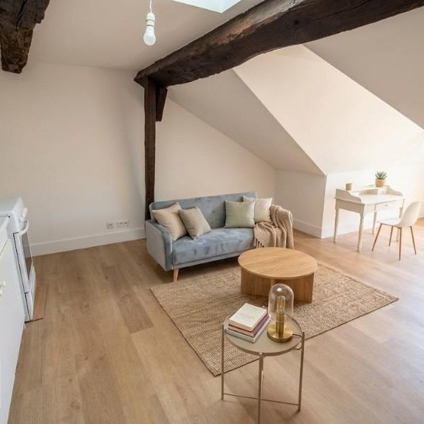 Location Appartement 1 pièce 20m² CHINON 37500 - Photo 1