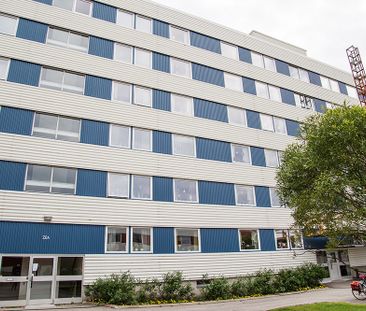 Hamnplan 20 B, 94161, Piteå - Foto 1