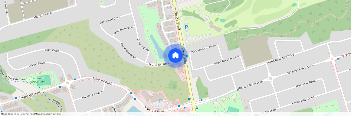 8 Townwood Drive, Richmond Hill