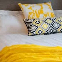 2 Bedroom / 1 Bathroom Penthouse - Photo 2