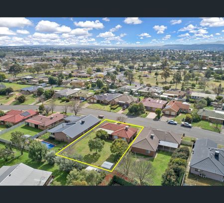 24 Morilla Street, Hillvue, NSW 2340 - Photo 4