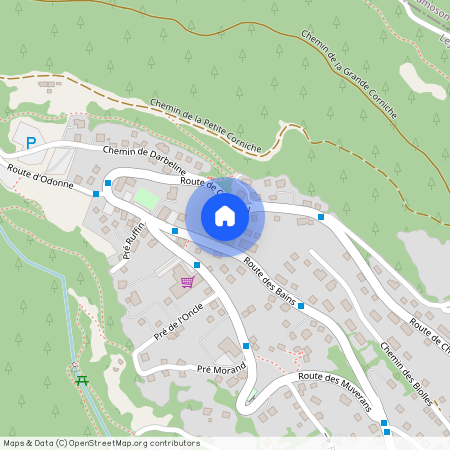 1911, Mayens-de-Chamoson, Route Des Bains, 17