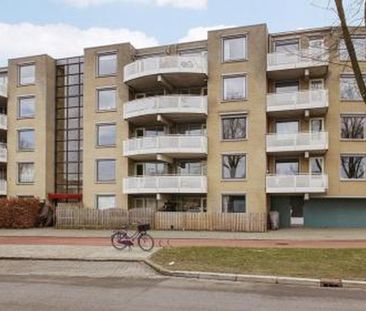 Zuidpooldreef 3563 WN Utrecht - Photo 3