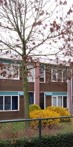 Chambre Johannes van der Waalsweg, Eindhoven - À Louer - Foto 1