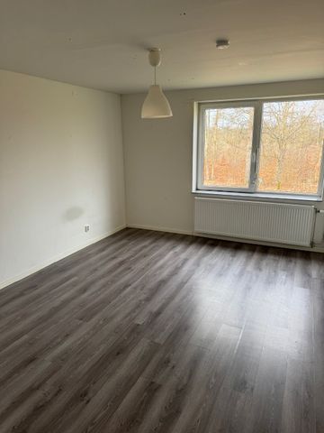 Dalgångsvägen, Konga - Photo 4