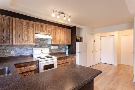 101 - 1027 12 Avenue Southwest, Calgary - Photo 5