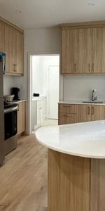 5 1/2 - Montréal (Le Plateau Mont-Royal) - 2 500 $/mois - Photo 3