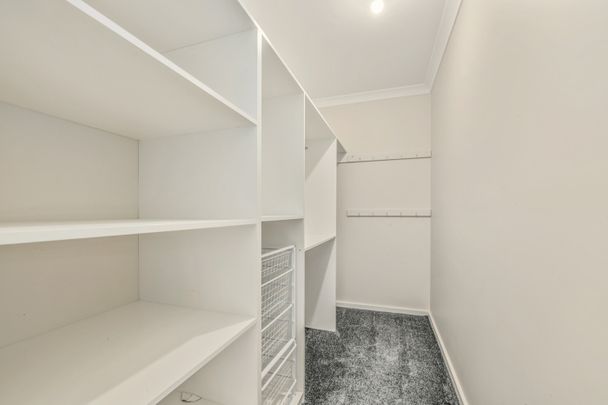 Peaceful Family Home - Photo 1