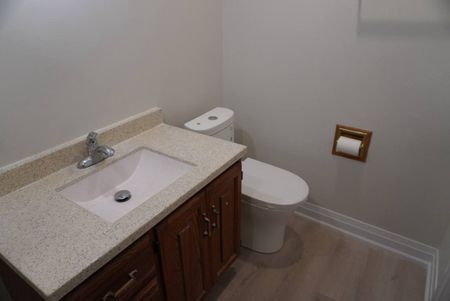For Lease - 259 Glenway Circle Unit# Basement, Newmarket, Ontario - Photo 4