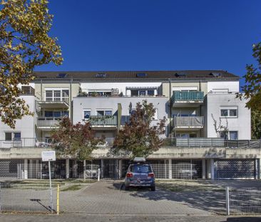 2-Zimmer-Wohnung in Bad Bergzabern - Photo 6