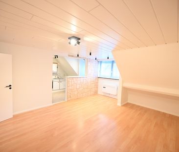 INSTAPKLAAR & VERNIEUWD appartement in het centrum - Foto 6