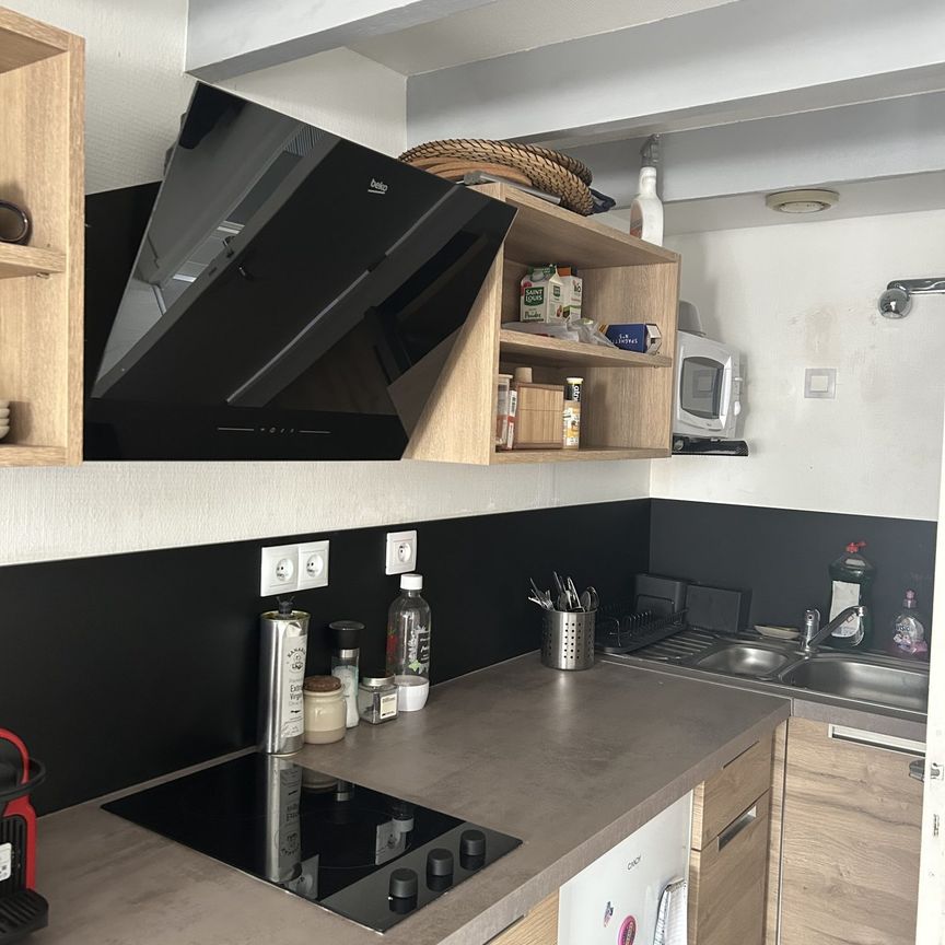 Location Appartement 1 pièce 15m² RENNES 35000 - Photo 1