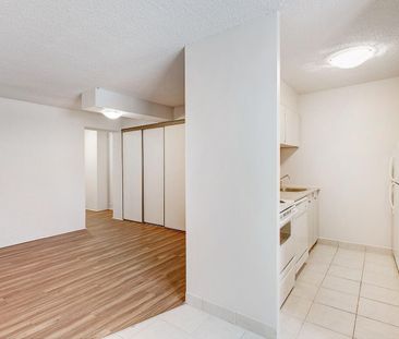 350 Rue Prince-Arthur Ouest, Montréal, QC - Photo 3