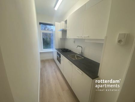 Schapenlaan, Rotterdam - Photo 5