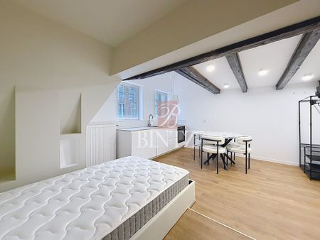 LOCATION APPARTEMENT - 19.80m² - Strasbourg - Photo 5
