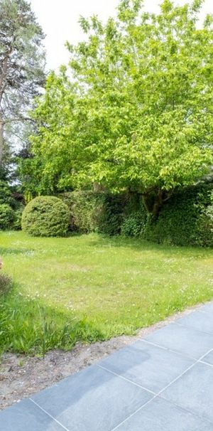 Ferndown LARGE MODERN BUNGALOW - Photo 1