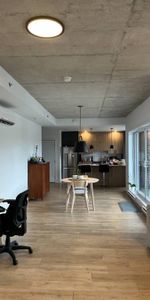 Grand 3 1/2 Mont-St-Hilaire 884pi2 - Photo 4