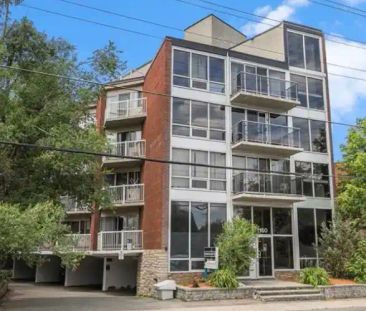 1160 Merivale Road #202: Bachelor Apartment (Carlington, Ottawa) | ... - Photo 1