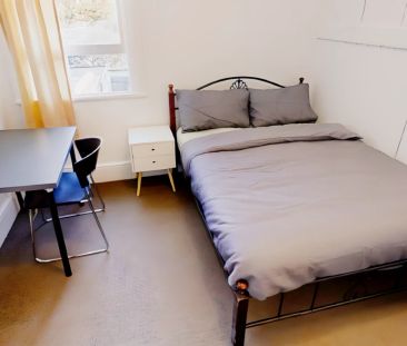 163 Harris St, Sydney - Photo 4