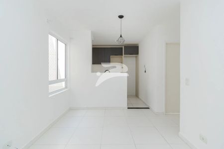 Apartamento 2 Quartos Cachoeira 40m² - Photo 2