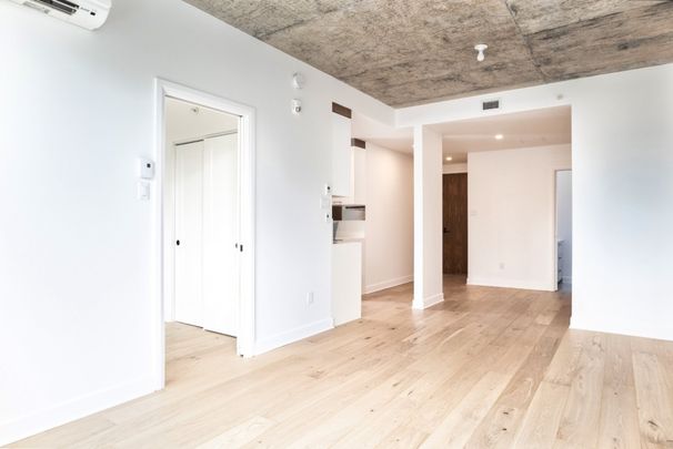 Appartement à louer - Montréal (Ville-Marie) (Village) Appartement à louer - Montréal (Ville-Marie) (Village) - Photo 1