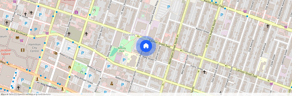 132 Ferguson Avenue, Hamilton