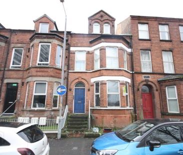 4, 5, Camden Street, Belfast, BT9 6AT - Photo 5