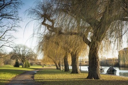 Broadway, Peterboough - Photo 4